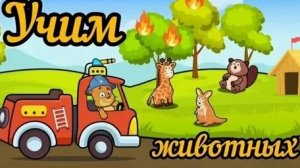 Учим животных