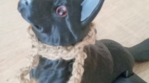 Мини VLOG с Чарай✨
(СПАСИБО 16 ПДП!!)