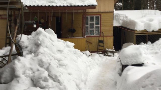 Где искать мой лес смотреть онлайн