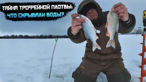 ШОК! Трофейная плотва на поставушки— и это на Волге! Поставушки: тактика, снасти, наживка для плотвы