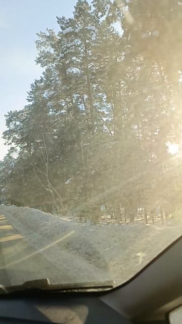 Длинная дорога домой!🌲