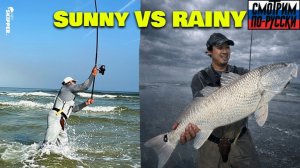 То же место, та же приманка — результаты в дождь и в солнечную погоду