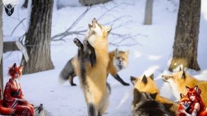 японская Симфония Лисьего Бога и + японские музыкальные инструменты. без слов. часть 2