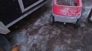 Сельчанка в Америке/ЖИЗНЬ НА АМЕРИКАНСКОЙ ФЕРМЕ.