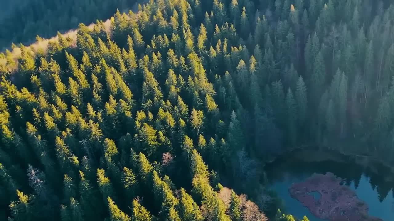 MuzTV смотреть онлайн