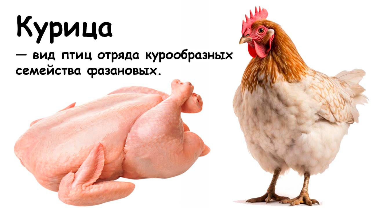 Блюда из курицы