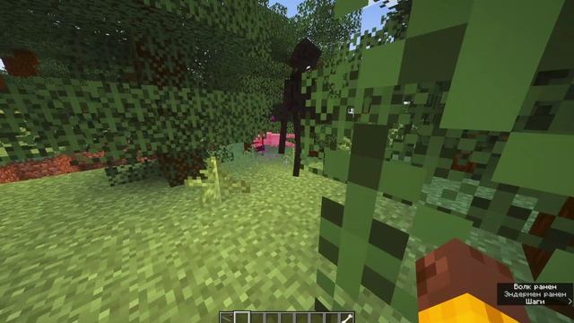 простите, у меня нет программы для монтирования