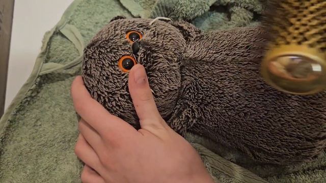 Вася моется