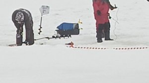 VID_20260228_095551_666