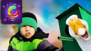 Вешаем скворечник #2. Саша Познаваша - детские клипы подряд