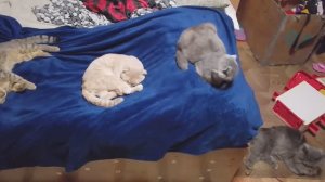 Чудо из чудес :)