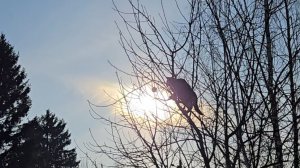 Осозанная необходимость, обновка к весне и прекрасный вечер