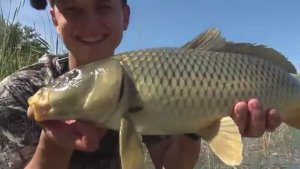 СДЕЛАЛ ПОМОСТ И ТАСКАЮ С НЕГО САЗАНОВ В ДИКОМ ПРУДУ! Рыбалка на поплавок.