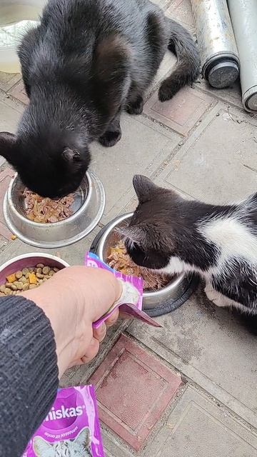 Желаю всем весны!