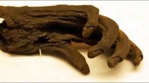 Полезное для здравомыслия