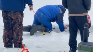 Поимки  форели !!!