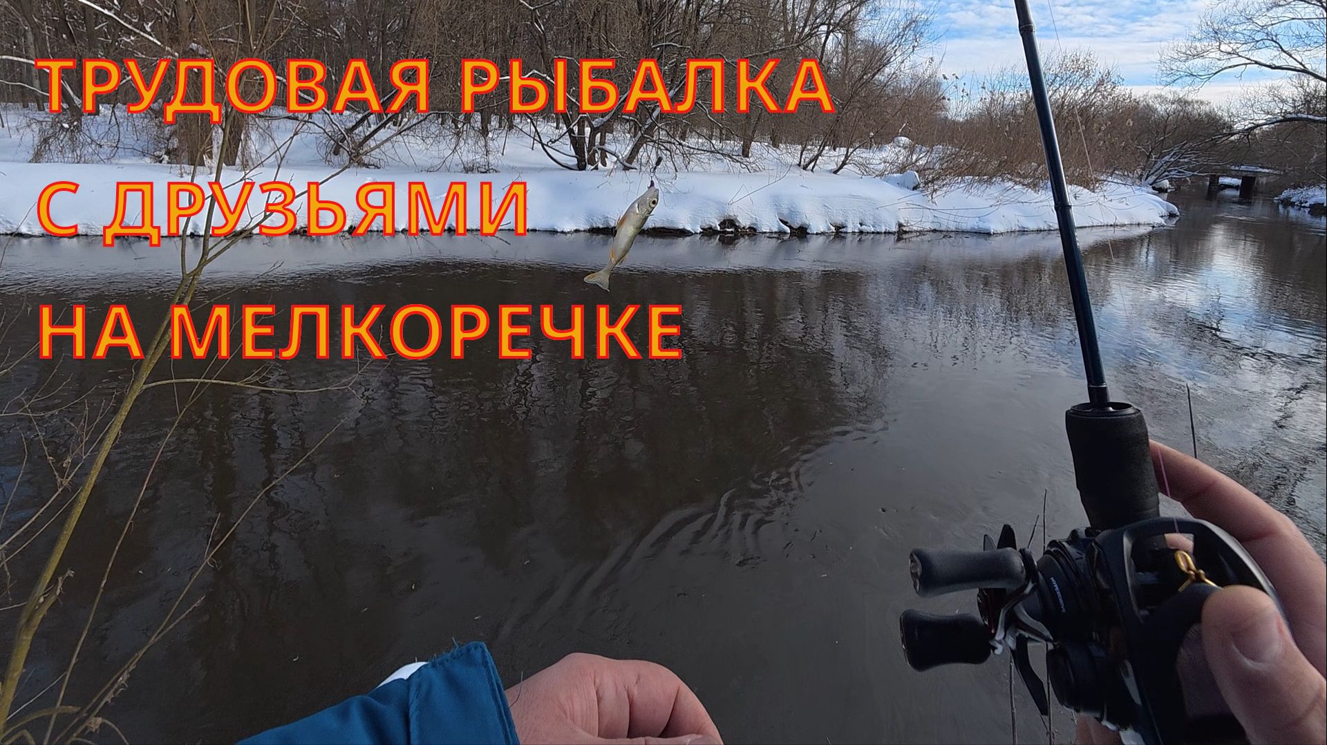 Ловим с друзьями на московской мелкоречке. Тестирую новую УЛ кастинговую катушку Daiwa SS Air TW