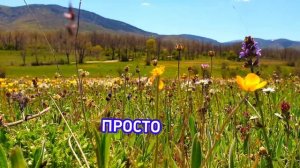 Однажды человек...