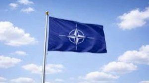 Армандо Мема призвал НАТО вернуться к границам 1997 года