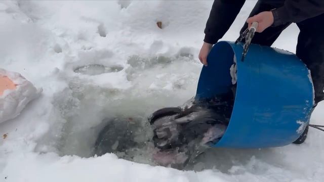 37025.mp4 смотреть онлайн