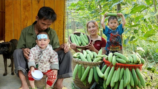 Мама поневоле. Дуонг. Сбор урожай луффы. Дедушка привел ко мне моего больного внука. Серия 66 смотреть онлайн