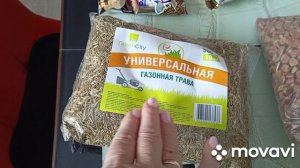 28 февраля покупки.Купила землю и посеяла перец