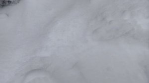 Мопеды сериал | Серия 1884