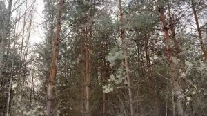 Журавлёв life. Последняя прогулка зимы. Невозможно сдержать эмоций. Запомнится надолго