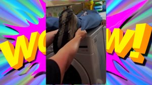 "СМЕШНЫЕ ВИДЕО: ПРИКОЛЫ, КОТОРЫЕ ПОДНИМУТ НАСТРОЕНИЕ"