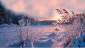 28 Февраля - Сделайте так, иначе год потерян.