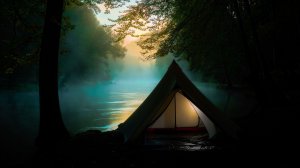 ✧ Спокойная эмбиент музыка и звуки природы для учебы, работы, сна и расслабления | Nature Ambient