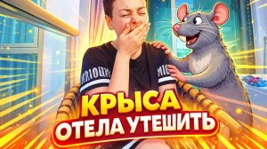 ОГРОМНАЯ КРЫСА ХОТЕЛА УТЕШИТЬ НИНКУ ИЗ ПИРАТСКОЙ ЖИЗНИ