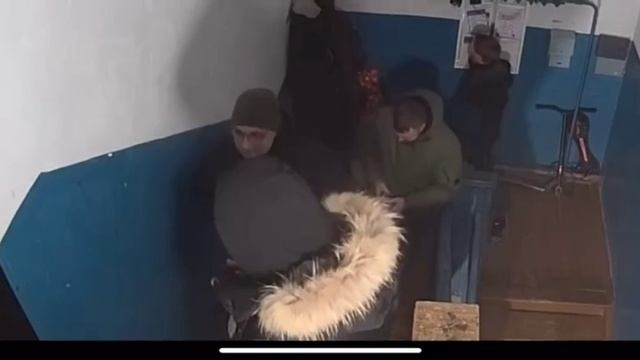 2317.mp4 смотреть онлайн