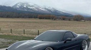 играем на админ arbyze в escape тсунами for брейнроты