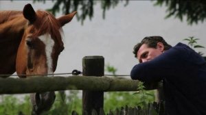 Лошади и их хозяева.