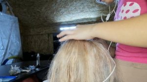 VID_20260228_201729.mp4