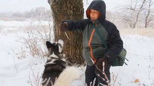 "ПРО БОЛОНОК, КОТОРЫЕ ОТ БЕЛЫХ МЕДВЕДЕЙ" мой поэтический клип из цикла «Поэзия земли нижегородской»