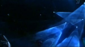 спокойная ночь