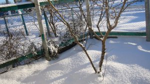 "Как молоды мы были" 🎵😢❄️❄️❄️🫶🫶🫶