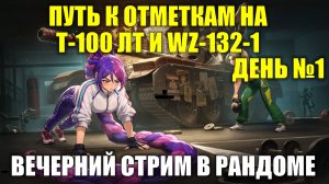 Путь к отметкам на Т-100 ЛТ и WZ-132-1 День №1 - Вечерний стрим в рандоме #tanksblitz