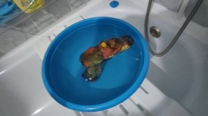 Потоп моего крейсера