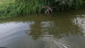 🎣🔺️ЩУКА НОРМ🎣🔺️fishing#туризм#природа#ловля#рыбалка#щука#ловлящуки#ночевка#Чулым#река#спиннинг