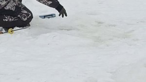 VID_20260228_095455_007