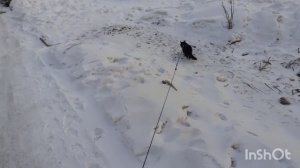 Холодно на улице.