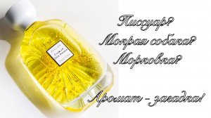 Мокрая собака? Писсуар? Апельсины в меду? О чем поёт Хор Ангелов…