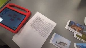 Молния-техно. РРО-2026