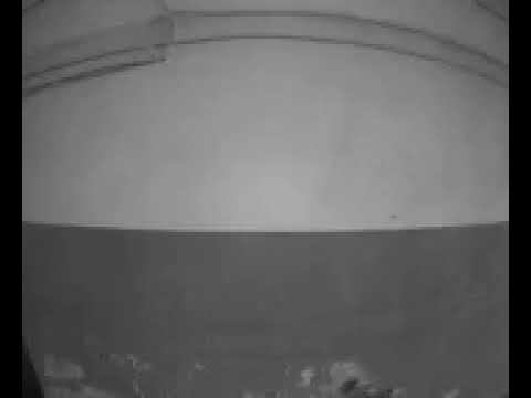 7 июля 2023 г. смотреть онлайн