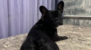 это что такое???