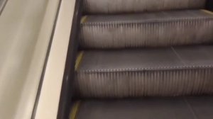 Шахнозу, напавшую на москвичку в ТЦ Свежий рынок, уже арестовали и вскоре отпустят домой #политика