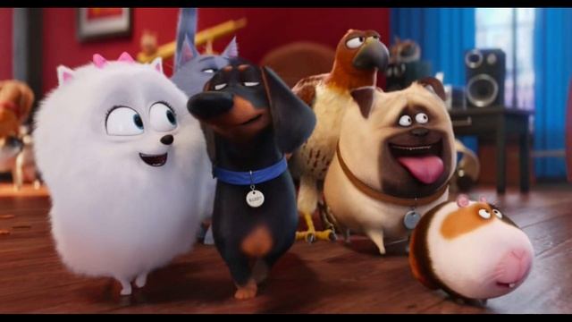 тайная жизнь домашних животных